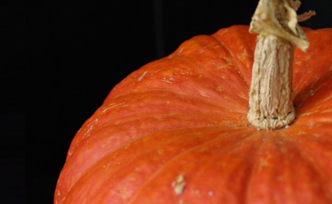 Brioche roulée à la courge et à la cannelle – Pumpkin cinnamon rolls